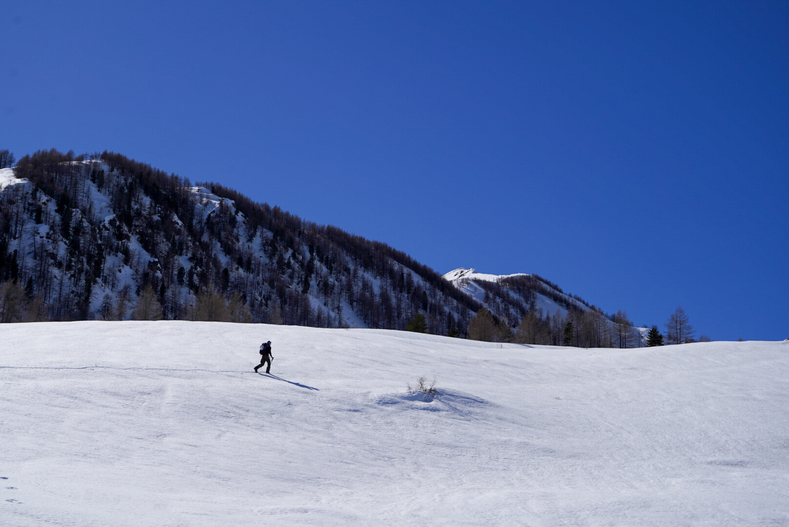 skieur de randonnée solitaire traversant une pente enneigée