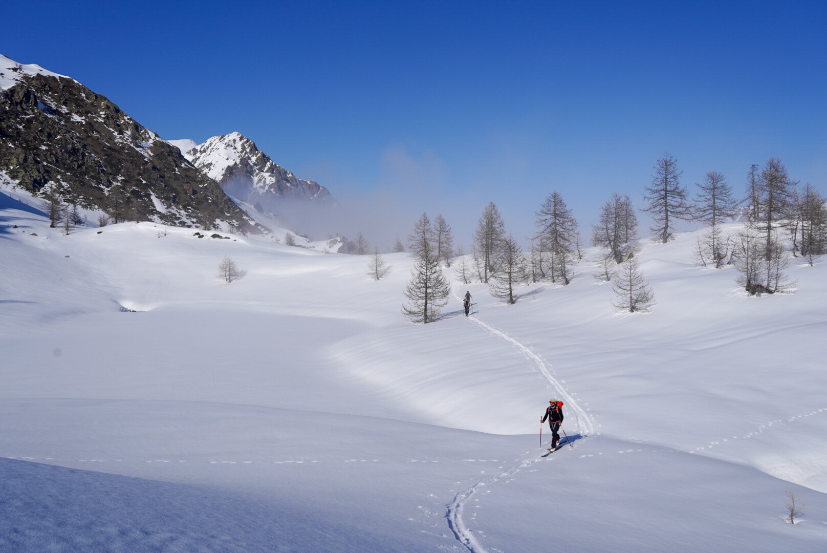 skieur de randonnée traversant une clairière enneigée sous les mélèzes