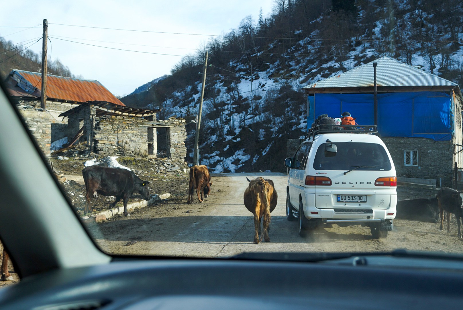 Route de montagne traversée par des animaux entre les maisons, route de Tbilissi à Mestia et arrivée en Svanétie, pendant le voyage à ski en Géorgie.