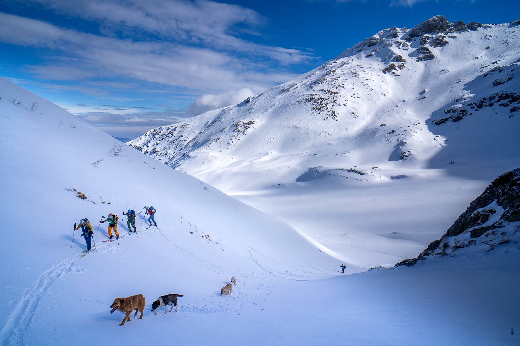 Groupe progressant dans un vallon enneigé, secteur de Prevalla, parc national des monts Šar, pendant une traversée à ski du Kosovo.