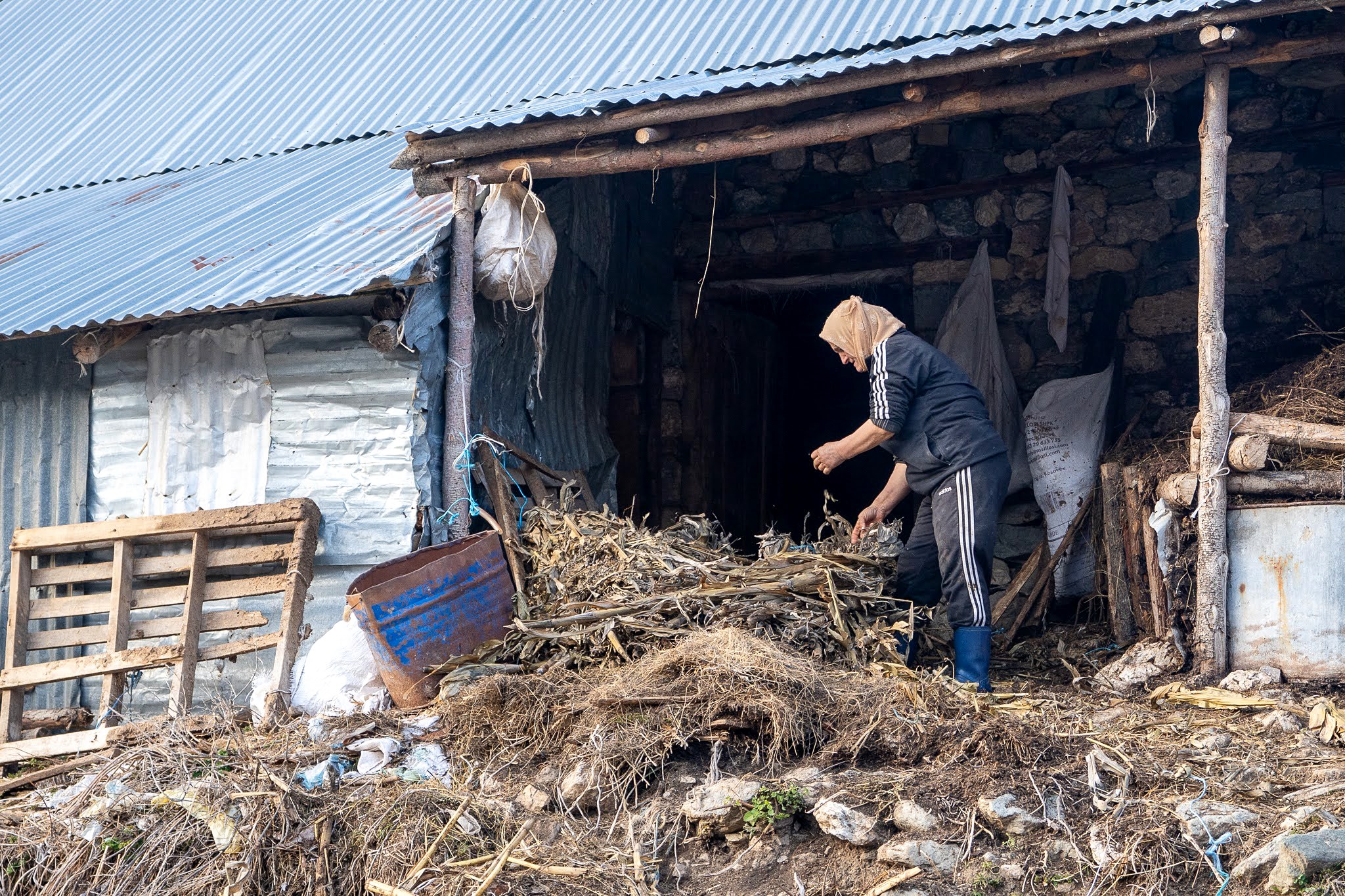 Habitant travaillant devant une grange en bois, secteur occidental du massif du Šar, près du Korab, pendant une traversée à ski du Kosovo.