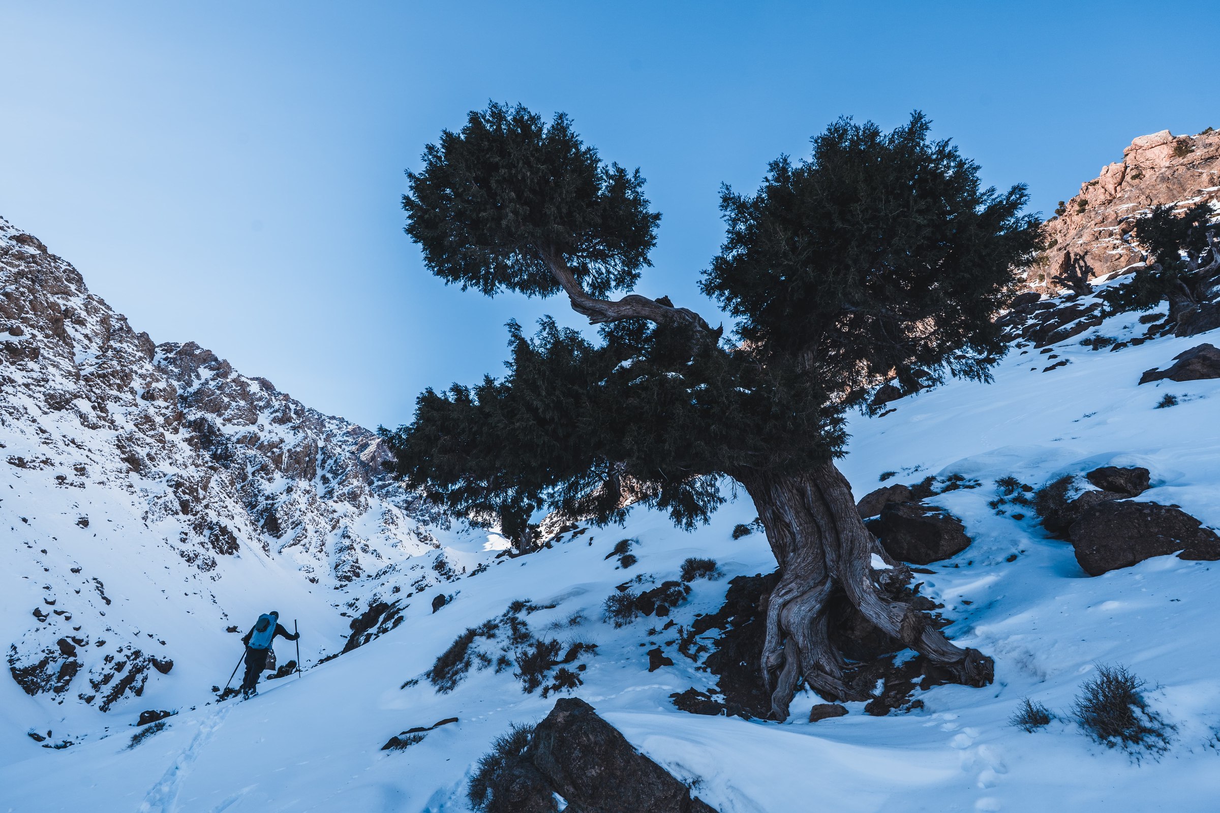 Groupe a ski dans la vallee dans le massif du Toubkal, Haut Atlas marocain