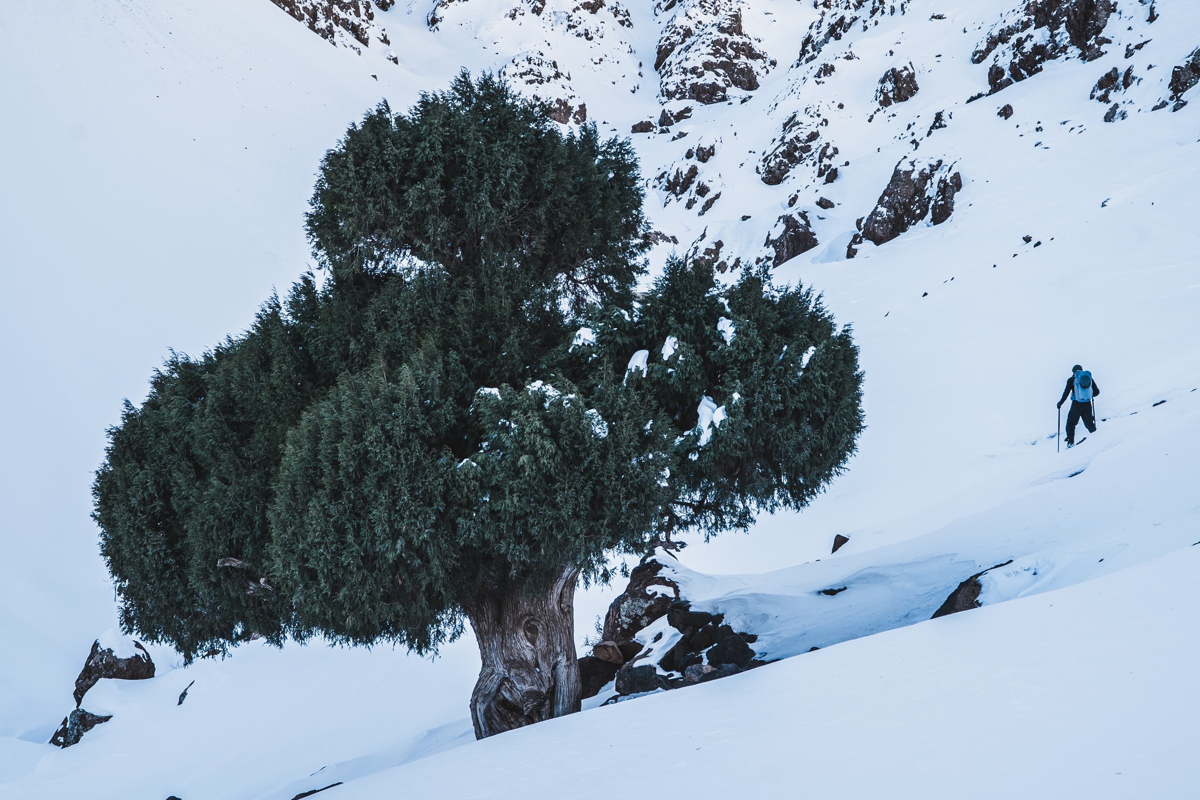 Groupe a ski dans la vallee dans le massif du Toubkal, Haut Atlas marocain